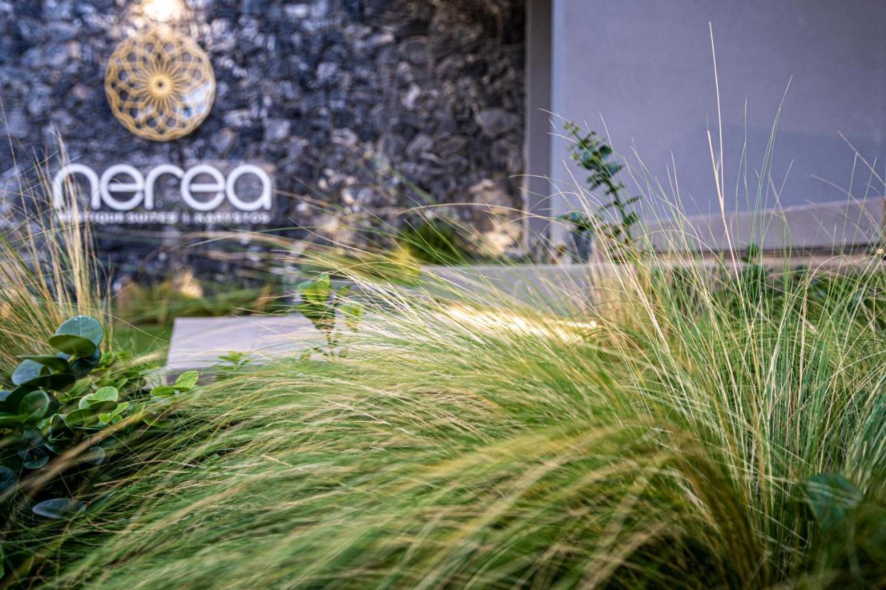 Nerea Boutique Suites Karystos Exteriér fotografie